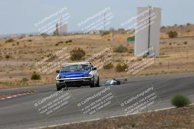 media/May-03-2025-Lucky Dog Racing (Sat) [[206de64b9d]]/Turn 6 (150pm-230pm)/